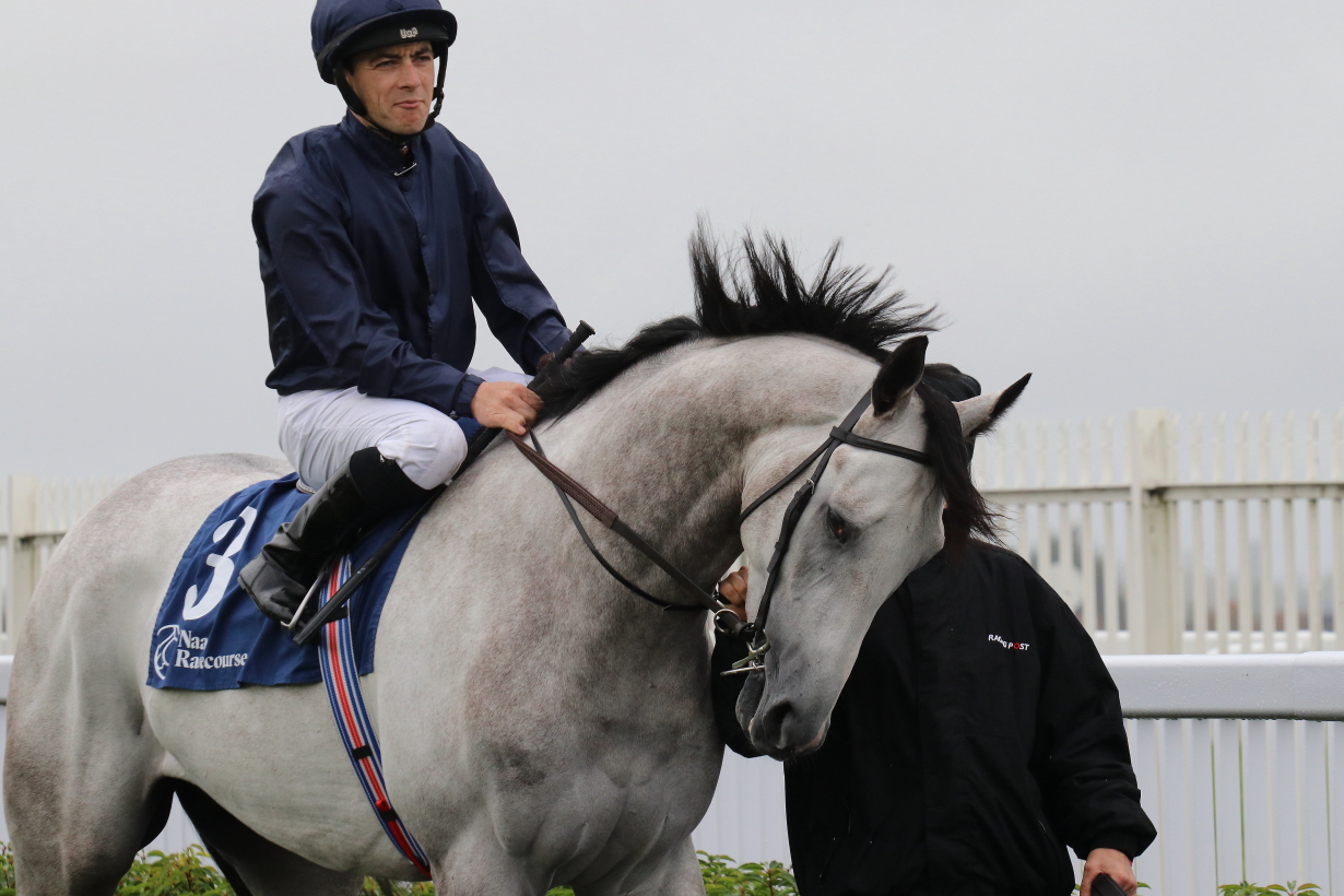 Image result for dunkirk harbour horse